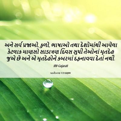 Picture 06 - પ્રકટીકરણ 11:9 GUJIRV - અને સર્વ પ્રજાઓ, - Bible Verse Picture