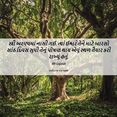 Picture 06 - પ્રકટીકરણ 12:6 GUJIRV - સ્ત્રી અરણ્યમાં - Bible Verse Picture