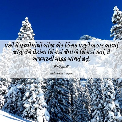 Picture 06 - પ્રકટીકરણ 13:11 GUJIRV - પછી મેં - Bible Verse Picture