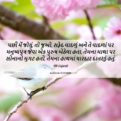 Picture 06 - પ્રકટીકરણ 14:14 GUJIRV - પછી મેં જોયું, તો - Bible Verse Picture