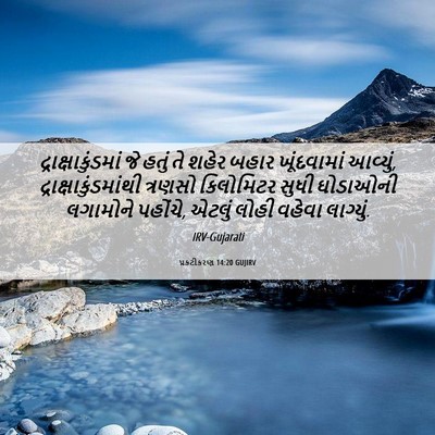 Picture 06 - પ્રકટીકરણ 14:20 GUJIRV - દ્રાક્ષાકુંડમાં - Bible Verse Picture