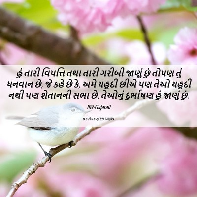 Picture 06 - પ્રકટીકરણ 2:9 GUJIRV - હું તારી વિપત્તિ - Bible Verse Picture