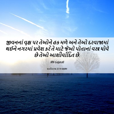 Picture 06 - પ્રકટીકરણ 22:14 GUJIRV - જીવનનાં વૃક્ષ પર - Bible Verse Picture