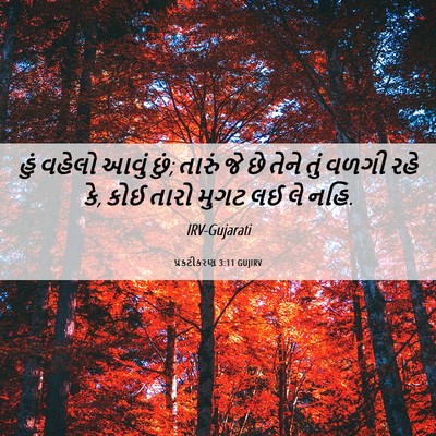 Picture 06 - પ્રકટીકરણ 3:11 GUJIRV - હું વહેલો આવું છું; - Bible Verse Picture