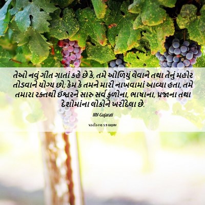 Picture 06 - પ્રકટીકરણ 5:9 GUJIRV - તેઓ નવું ગીત ગાતાં - Bible Verse Picture