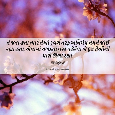 Picture 06 - પ્રેરિતોનાં ક્રત્યો 1:10 GUJIRV - તે જતા હતા ત્યારે - Bible Verse Picture