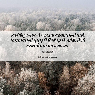 Picture 06 - પ્રેરિતોનાં ક્રત્યો 1:12 GUJIRV - ત્યારે જૈતૂન - Bible Verse Picture