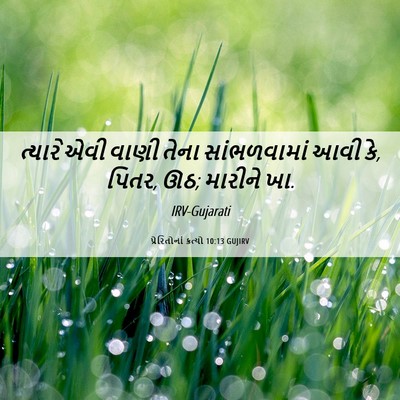 Picture 06 - પ્રેરિતોનાં ક્રત્યો 10:13 GUJIRV - ત્યારે એવી વાણી - Bible Verse Picture
