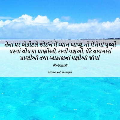 Picture 06 - પ્રેરિતોનાં ક્રત્યો 11:6 GUJIRV - તેના પર એકીટસે - Bible Verse Picture
