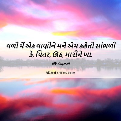 Picture 06 - પ્રેરિતોનાં ક્રત્યો 11:7 GUJIRV - વળી મેં એક વાણીને - Bible Verse Picture
