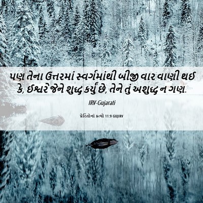 Picture 06 - પ્રેરિતોનાં ક્રત્યો 11:9 GUJIRV - પણ તેના ઉત્તરમાં - Bible Verse Picture