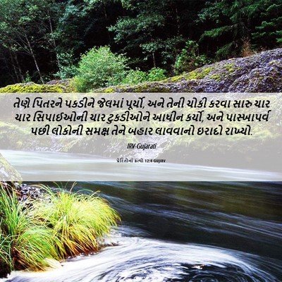 Picture 06 - પ્રેરિતોનાં ક્રત્યો 12:4 GUJIRV - તેણે પિતરને - Bible Verse Picture