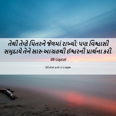 Picture 06 - પ્રેરિતોનાં ક્રત્યો 12:5 GUJIRV - તેથી તેણે પિતરને - Bible Verse Picture