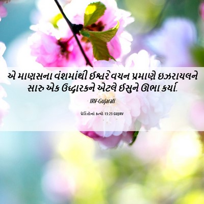 Picture 06 - પ્રેરિતોનાં ક્રત્યો 13:23 GUJIRV - એ માણસના વંશમાંથી - Bible Verse Picture