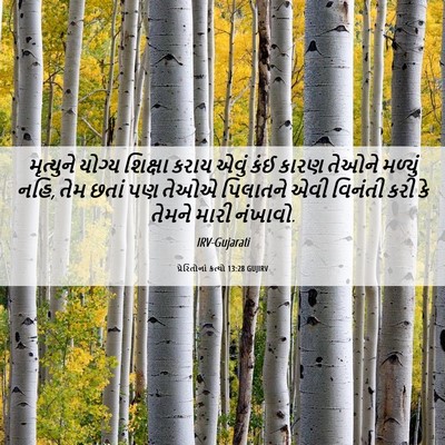 Picture 06 - પ્રેરિતોનાં ક્રત્યો 13:28 GUJIRV - મૃત્યુને યોગ્ય - Bible Verse Picture