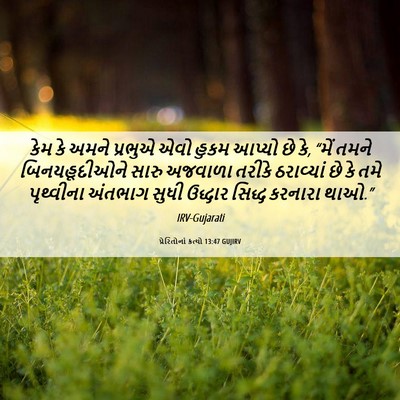 Picture 06 - પ્રેરિતોનાં ક્રત્યો 13:47 GUJIRV - કેમ કે અમને પ્રભુએ - Bible Verse Picture