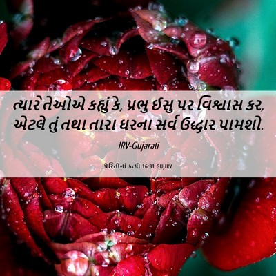 Picture 06 - પ્રેરિતોનાં ક્રત્યો 16:31 GUJIRV - ત્યારે તેઓએ - Bible Verse Picture