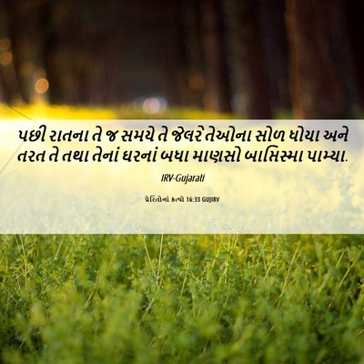 Picture 06 - પ્રેરિતોનાં ક્રત્યો 16:33 GUJIRV - પછી રાતના તે જ સમયે - Bible Verse Picture