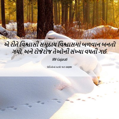 Picture 06 - પ્રેરિતોનાં ક્રત્યો 16:5 GUJIRV - એ રીતે વિશ્વાસી - Bible Verse Picture