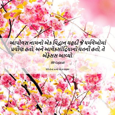 Picture 06 - પ્રેરિતોનાં ક્રત્યો 18:24 GUJIRV - આપોલસ નામનો એક - Bible Verse Picture