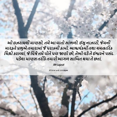 Picture 06 - પ્રેરિતોનાં ક્રત્યો 2:22 GUJIRV - ઓ ઇઝરાયલી માણસો, - Bible Verse Picture