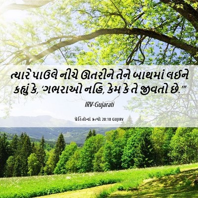 Picture 06 - પ્રેરિતોનાં ક્રત્યો 20:10 GUJIRV - ત્યારે પાઉલે નીચે - Bible Verse Picture