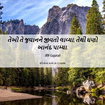 Picture 06 - પ્રેરિતોનાં ક્રત્યો 20:12 GUJIRV - તેઓ તે જુવાનને - Bible Verse Picture