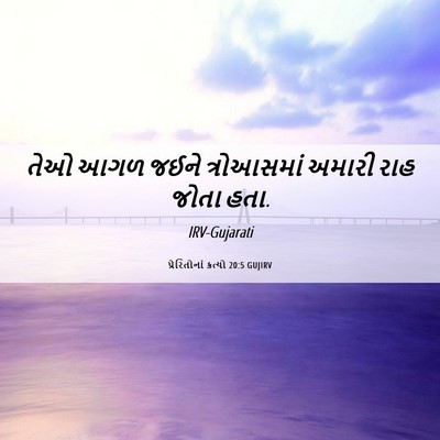 Picture 06 - પ્રેરિતોનાં ક્રત્યો 20:5 GUJIRV - તેઓ આગળ જઈને - Bible Verse Picture