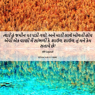 Picture 06 - પ્રેરિતોનાં ક્રત્યો 22:7 GUJIRV - ત્યારે હું જમીન પર - Bible Verse Picture