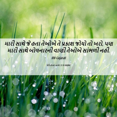 Picture 06 - પ્રેરિતોનાં ક્રત્યો 22:9 GUJIRV - મારી સાથે જે હતા - Bible Verse Picture