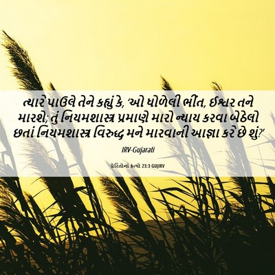 Picture 06 - પ્રેરિતોનાં ક્રત્યો 23:3 GUJIRV - ત્યારે પાઉલે તેને - Bible Verse Picture