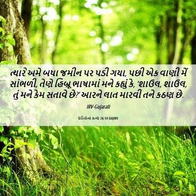 Picture 06 - પ્રેરિતોનાં ક્રત્યો 26:14 GUJIRV - ત્યારે અમે બધા - Bible Verse Picture