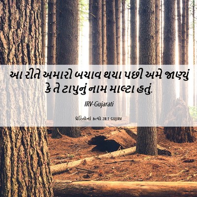 Picture 06 - પ્રેરિતોનાં ક્રત્યો 28:1 GUJIRV - આ રીતે અમારો બચાવ - Bible Verse Picture