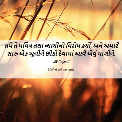 Picture 06 - પ્રેરિતોનાં ક્રત્યો 3:14 GUJIRV - તમે તે પવિત્ર તથા - Bible Verse Picture