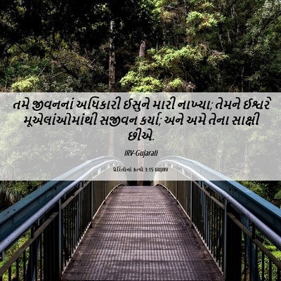 Picture 06 - પ્રેરિતોનાં ક્રત્યો 3:15 GUJIRV - તમે જીવનનાં - Bible Verse Picture