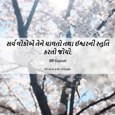 Picture 06 - પ્રેરિતોનાં ક્રત્યો 3:9 GUJIRV - સર્વ લોકોએ તેને - Bible Verse Picture