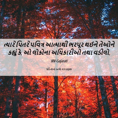 Picture 06 - પ્રેરિતોનાં ક્રત્યો 4:8 GUJIRV - ત્યારે પિતરે - Bible Verse Picture