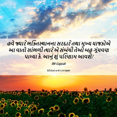 Picture 06 - પ્રેરિતોનાં ક્રત્યો 5:24 GUJIRV - હવે જ્યારે - Bible Verse Picture