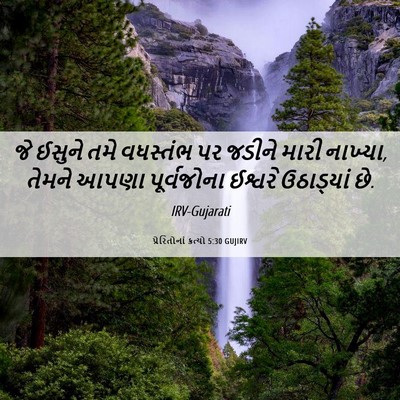 Picture 06 - પ્રેરિતોનાં ક્રત્યો 5:30 GUJIRV - જે ઈસુને તમે - Bible Verse Picture