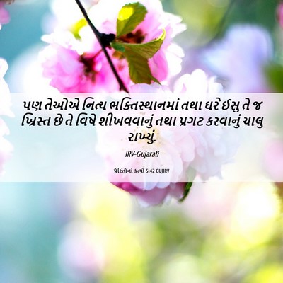 Picture 06 - પ્રેરિતોનાં ક્રત્યો 5:42 GUJIRV - પણ તેઓએ નિત્ય - Bible Verse Picture
