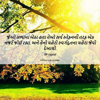 Picture 06 - પ્રેરિતોનાં ક્રત્યો 6:15 GUJIRV - જેઓ સભામાં બેઠા - Bible Verse Picture