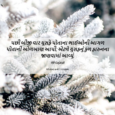 Picture 06 - પ્રેરિતોનાં ક્રત્યો 7:13 GUJIRV - પછી બીજી વાર યૂસફે - Bible Verse Picture