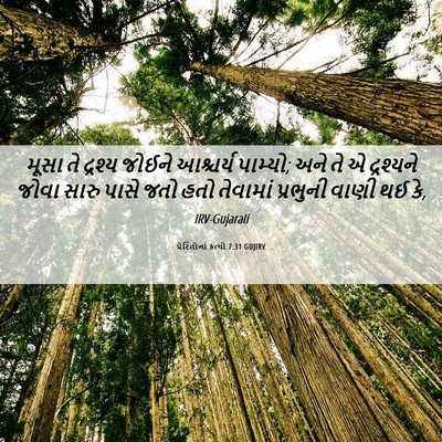 Picture 06 - પ્રેરિતોનાં ક્રત્યો 7:31 GUJIRV - મૂસા તે દ્રશ્ય - Bible Verse Picture