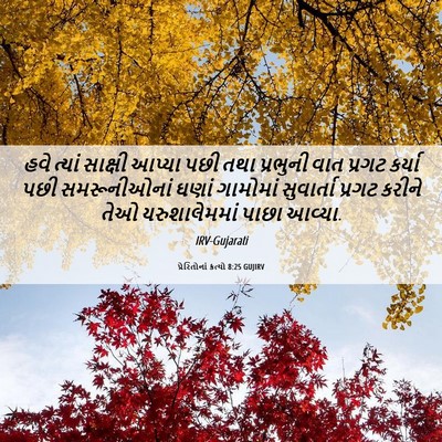 Picture 06 - પ્રેરિતોનાં ક્રત્યો 8:25 GUJIRV - હવે ત્યાં સાક્ષી - Bible Verse Picture