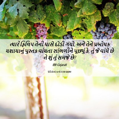 Picture 06 - પ્રેરિતોનાં ક્રત્યો 8:30 GUJIRV - ત્યારે ફિલિપ તેની - Bible Verse Picture