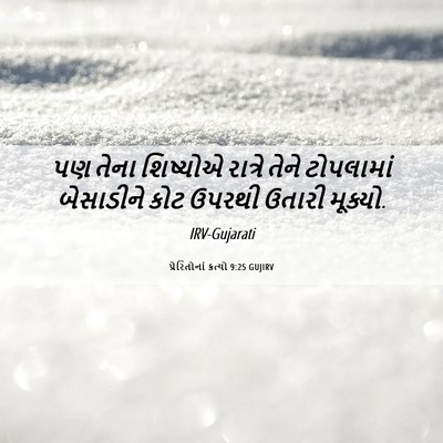 Picture 06 - પ્રેરિતોનાં ક્રત્યો 9:25 GUJIRV - પણ તેના શિષ્યોએ - Bible Verse Picture