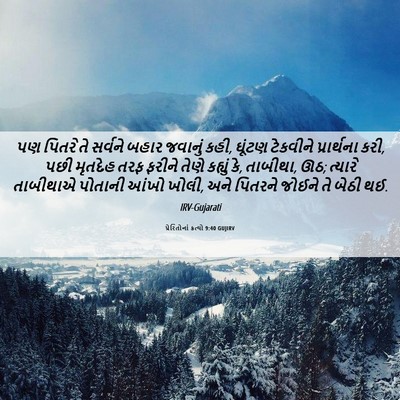 Picture 06 - પ્રેરિતોનાં ક્રત્યો 9:40 GUJIRV - પણ પિતરે તે સર્વને - Bible Verse Picture