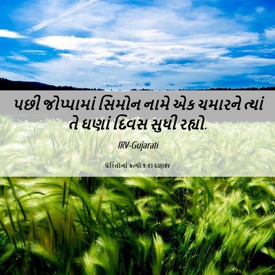 Picture 06 - પ્રેરિતોનાં ક્રત્યો 9:43 GUJIRV - પછી જોપ્પામાં - Bible Verse Picture