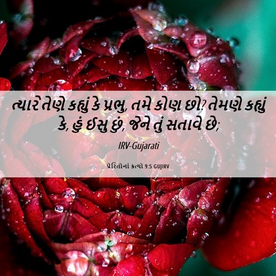Picture 06 - પ્રેરિતોનાં ક્રત્યો 9:5 GUJIRV - ત્યારે તેણે - Bible Verse Picture
