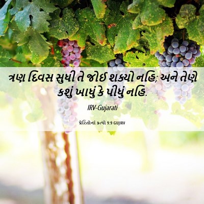 Picture 06 - પ્રેરિતોનાં ક્રત્યો 9:9 GUJIRV - ત્રણ દિવસ સુધી તે - Bible Verse Picture